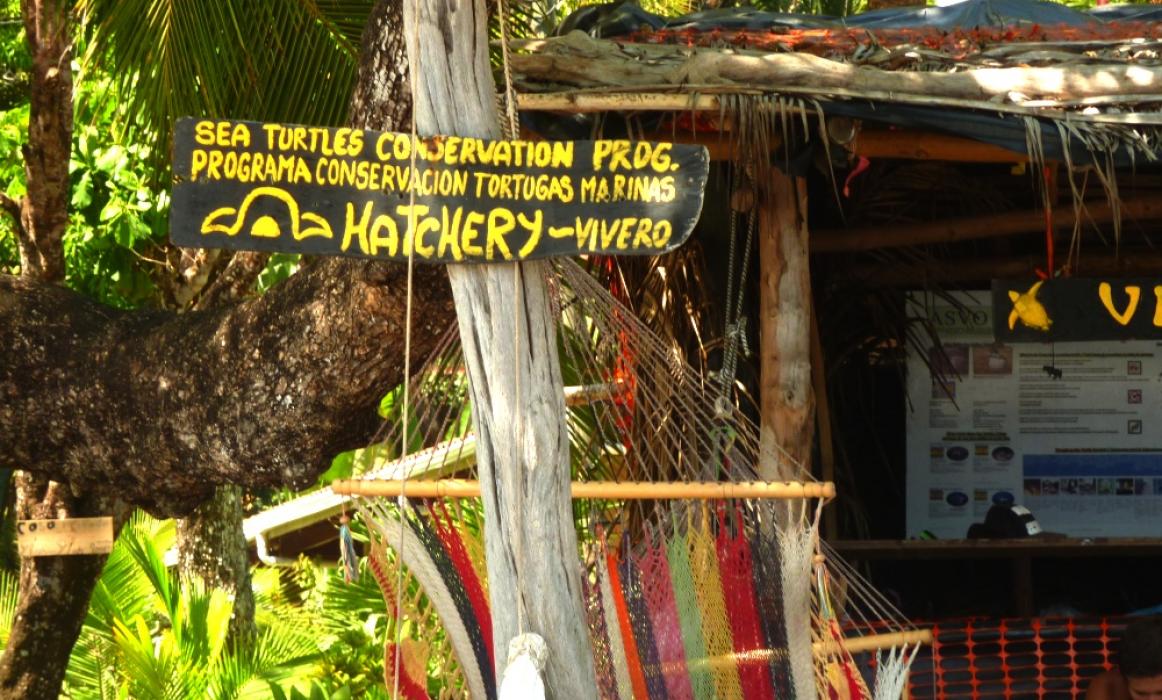 P1130338banner