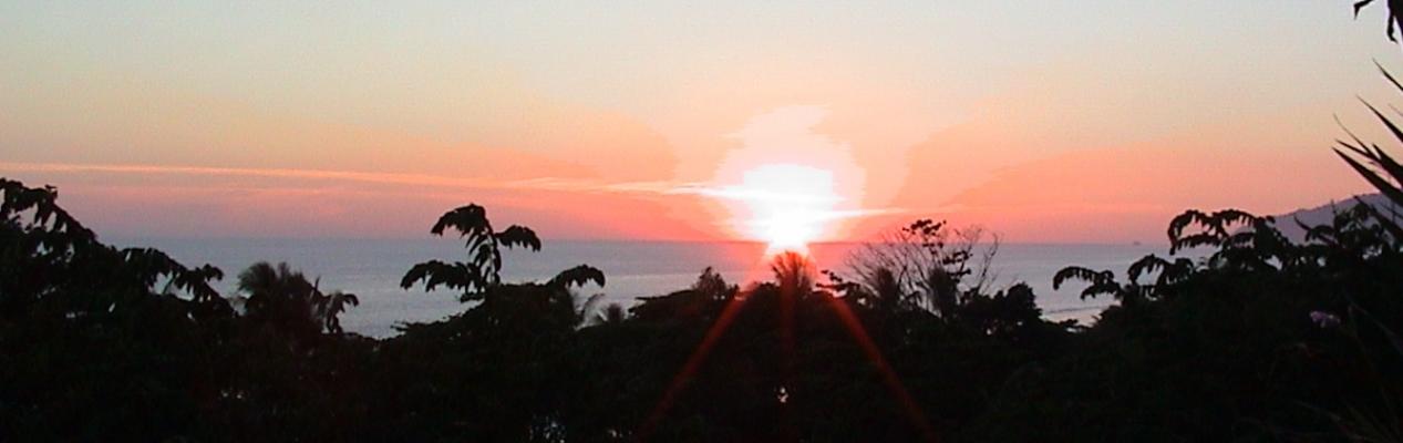 DSC00058a