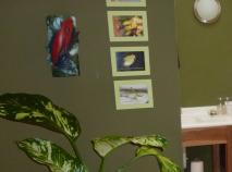 Rain Forest Casita kitchenette