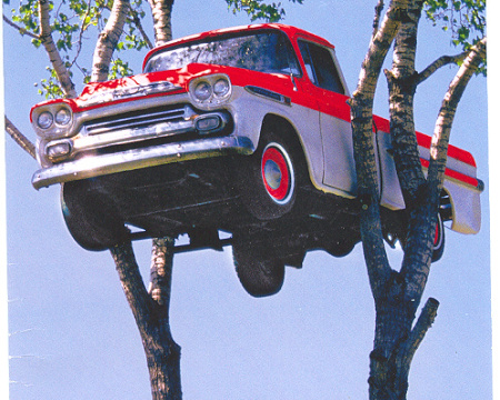 car in a tree