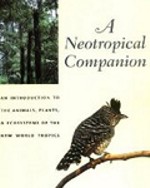 ABOUT THE TROPICS