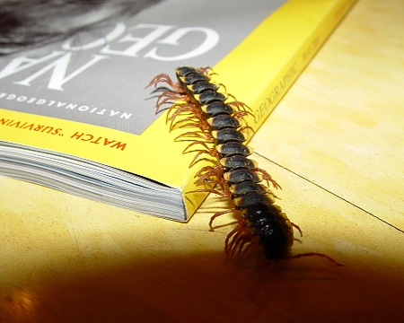 national geographic in costa rica